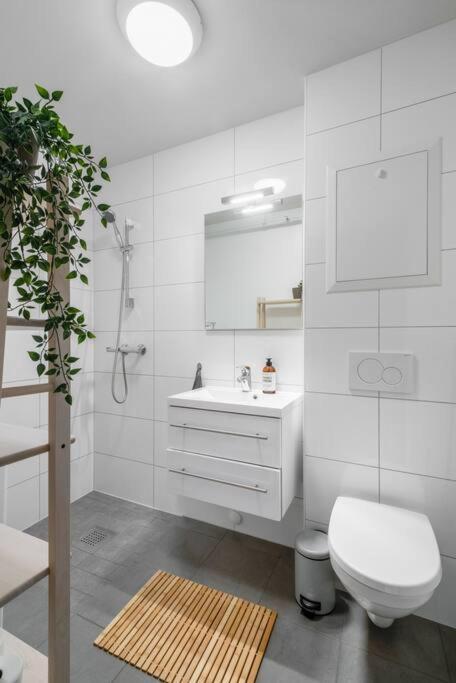 Hidden Gem Near The Old Town Bridge, 40M² Apt. Тронхейм Экстерьер фото